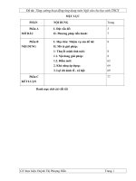 SKKN cực hay: Tăng cường hoạt động ứng dụng môn ngữ văn cho học sinh THCS