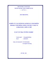 Nghiên cứu tạo chế phẩm aspergillus niger không sinh độc tố để phòng chống nấm mốc và độc tố ochratoxin a trên cà phê