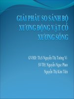giải phẫu so sánh bộ xương động vật