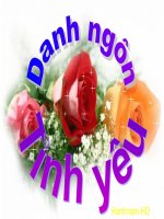 Cuộc sống không thể sống thiếu tình yêu