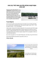 KHU dự TRỮ SINH QUYỂN RỪNG NGẬP mặn cần GIỜ