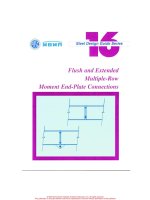 aisc design guide 16 - flush and extend multiple-row moment end-plate connections