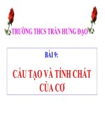 Cấu tạo và tính chất của Cơ