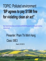 bài giảng về ô nhiễm môi trường ở Việt Nam