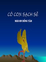 thơ : Cò con sạch sẽ