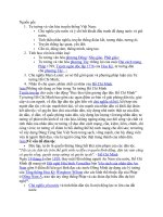 Tư tưởng và văn hóa truyền thống Việt Nam