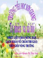 Bai 44 Re Cay Thuy Dung