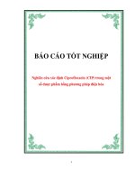 Nghiên cứu xác định ciprofloxacin (CIP) trong một số dược phẩm bằng phương pháp điện hóa