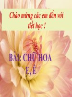 chữ hoa E, Ê