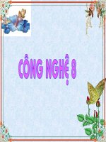 tiet 12 on tap ve ki thuat