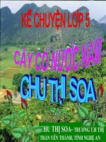 CÂY CỎ NƯỚC NAM