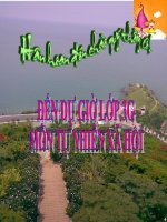 CƠ QUAN THẦN KINH