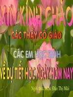 tin 7 chen hinh anh - mui (e-lea..)