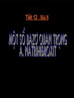 Tiết 12: Một số Bazo quan trọng (Hóa 9)