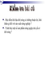 Hoạt động sản xuất nông nghiệp ở đới nóng