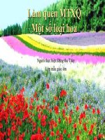 một số loài hoa