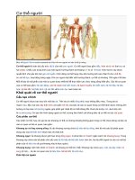 Tổng hợp về cơ thể Người