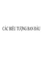 Trình bày về biểu tượng ban đầu BTNB