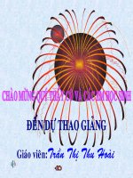 Phong trào nông dân đàng trong và khởi nghĩa tây sơn