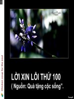 Lời xin lỗi thứ 100