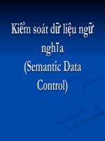 bài giảng kiểm soát dữ liệu ngữ nghĩa (semantic data control)