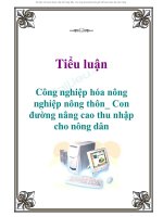 Tiểu luận: Công nghiệp hóa nông nghiệp – nông thôn con đường nâng cao thu nhập cho nông dân