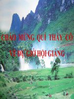 NHỮNG YÊU CẦU SỬ DỤNG TIẾNG VIỆT