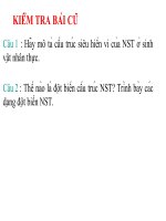 Bài 6 : Đột biến số lượng nhiễm sắc thể