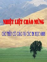Hệ quả chuyển động quanh Mặt Trời của Trái Đất