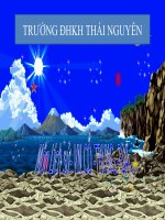 khoi nghia ly bi dhkh tn