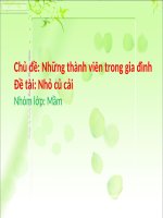 Nhổ củ cải