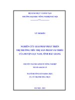 nghiên cứu các giải pháp phát triển thị trường tiêu thụ sản phẩm vải thiều của huyện lục nam, tỉnh bắc giang