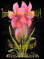 su phu thuoc cua dien tro vao vat lieu lam đay an