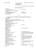 giao an tong hop lop 4 - tuan 19 - 27 (Bản đẹp)