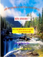 Đặc điểm chung và vai trò của ngành thân mềm