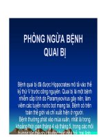 phòng ngừa bệnh quai bị.