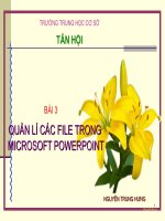 Quản lí các file trong Power point 2003