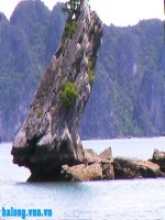 cau tao bai van ta canh