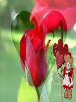 HÌNH ẢNH CÁC LOÀI HOA ĐẸP