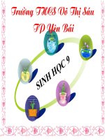 tiet 10- NGUYEN PHAN