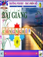 bai 11 bieu dien ren