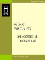 slike bài giảng tính toán lưới - nguyễn hữu đức bài 2a giới thiệu về globus toolkit
