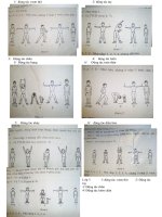 hình thể dục lớp 2