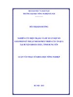 nghiên cứu hiện trạng và đề xuất một số giải pháp kỹ nhằm phát triển cây ăn quả tại huyện khoái châu, tỉnh hưng yên