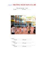 CHƯƠNG TRINH GDMN MỚI