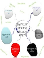 sản xuất cồn sinh học và ứng dụng trong xăng sinh học