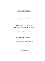 Phản ứng của cây vừng đối với điều kiện thiếu nước