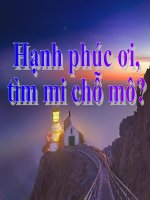 The nao la hanh phuc?