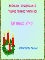 Hoa lá mùa xuân
