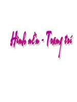 hình nền trang trí